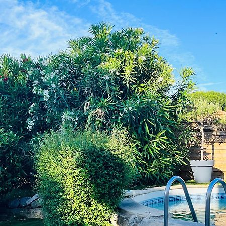 Piscine Cosy, 3 Chambres, 3 Sdb, Havre De Paix A 10 Min Des Plages Mauguio Eksteriør bilde