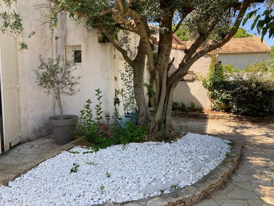 Piscine Cosy, 3 Chambres, 3 Sdb, Havre De Paix A 10 Min Des Plages Mauguio Eksteriør bilde