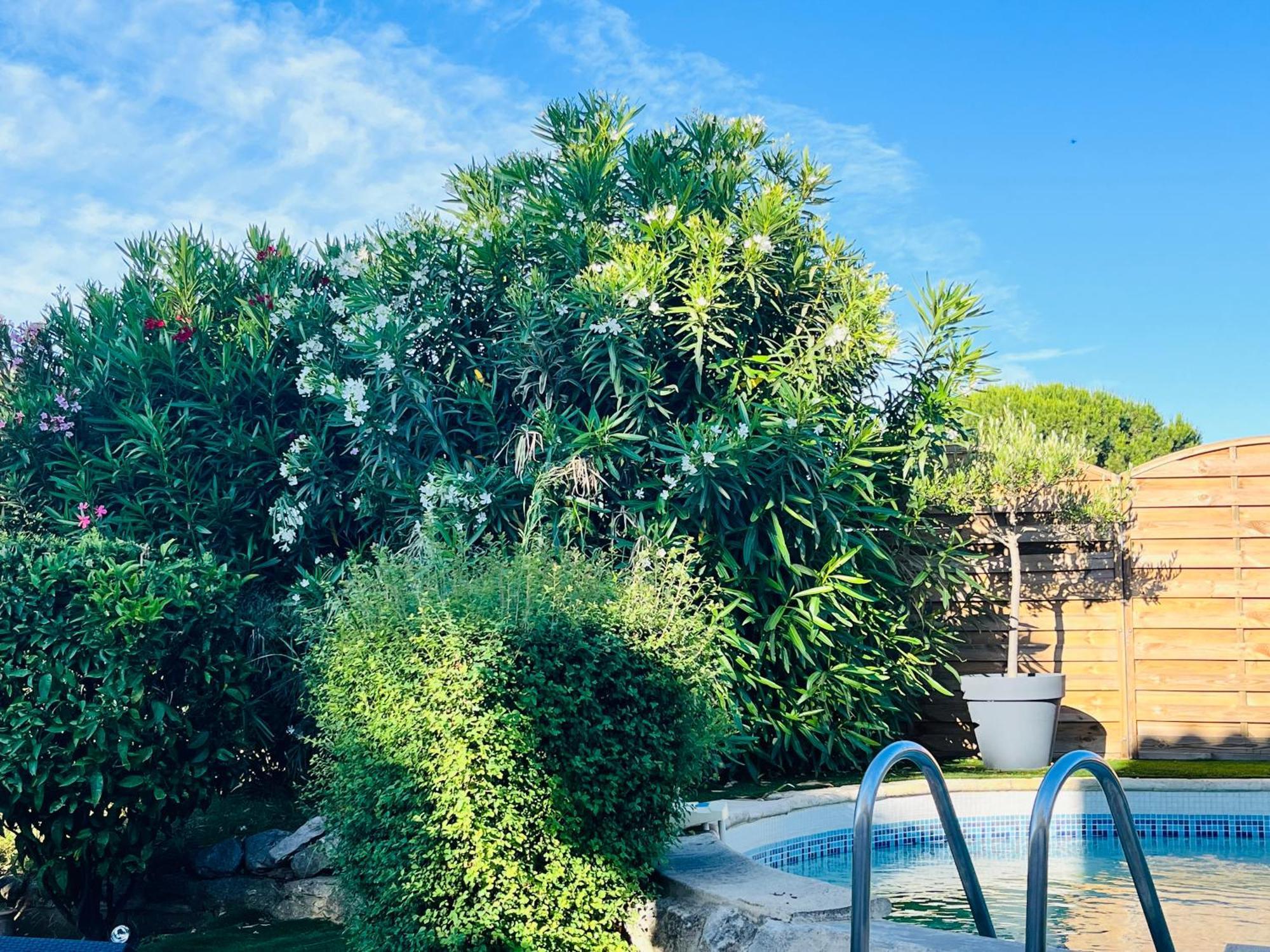 Piscine Cosy, 3 Chambres, 3 Sdb, Havre De Paix A 10 Min Des Plages Mauguio Eksteriør bilde